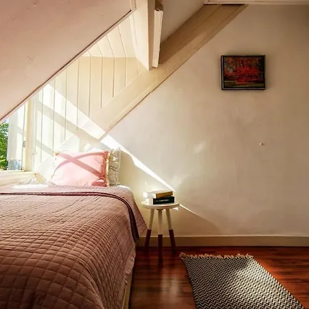 Sunny In The Center Of Appartement
