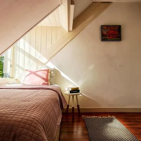 Sunny In The Center Of Appartement
